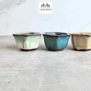 The Leaferie Bonsai (Series 79) Hexagon plant pots Ceramic flowerpot flowerpots