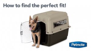 PETMATE SKY KENNEL 48" 40-56kg #700 กรงเดินทางพลาสติก สำหรับขึ้นเครื่องบินรุ่น Made in the USA