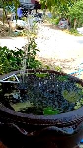 ส่งจากกรุงเทพ Solar Pump น้ำพุโซล่าเซลล์ ปั๊มน้ำพุ(เล็ก) น้ำพุพลังงานแสงอาทิตย์ solar powered fountain pump