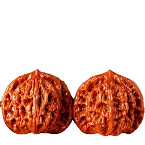 Trứng Hạt Ginkgo Chơi Đùa Bằng Gỗ Tròn Cổ Điển Dành Cho Nam Phụ Kiện Thời Trang Thủ Công Mỹ Nghệ Hiện Đại Hạt Ginkgo Chơi Đùa