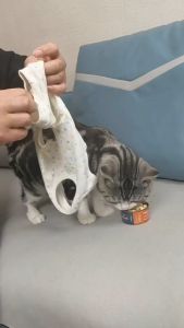 Áo chống liếm cho Chó Mèo áo cai sữa form nhỏ (đo kích thước trước khi chọn size) mẫu mới - Hara Pet Store