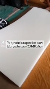 Peredam suara telur 2 meter x1 meter x 5cm Putih