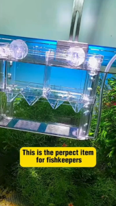Aquarium Fish Breeding Box | Guppy Betta Fry Isolation Box | 鱼缸隔离盒 | Kubator Pembiakan Ikan Gapi Kecil