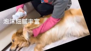 Bọt rửa chân chó mèo Dorrikey làm sạch kẽ chân cho chó và mèo không cần rửa lại với nước (150ml)