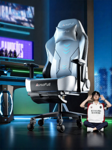 Ergonomic Gaming Chair