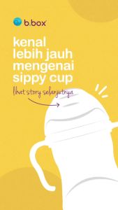 B. Box Sippy Cup - Botol Minum Anak