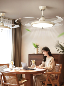 DGY | Silent Full Spectrum Fan Ceiling Light
