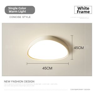 Full Spectrum Geometric Irregular LED Ceiling Light