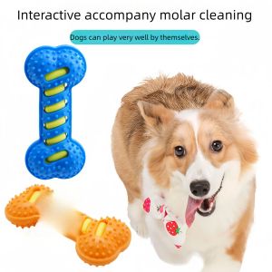 Dog Chew Toy Squeaky Bones Bite-resistant Training Puppy Toy Teeth Cleaning Interactive Massage Toothbrush Dog Toy