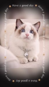 Bola Kalung Kucing Kalung Anjing Kalung Kelinci Kalung Adjustable Lonceng Cat Collar Dog Collar