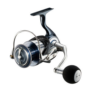 Daiwa | Cuộn Câu Cá Biển & Thuyền