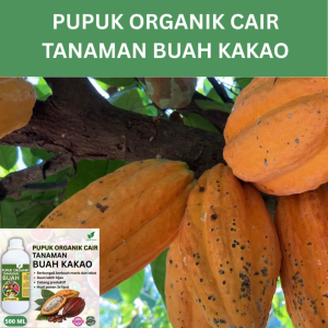 Pupuk Buah Kakao 500 ML /Pupuk Booster Kakao Cepat Berbuah Lebat/Pupuk Cair Kakao