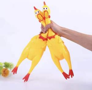 ไก่บีบมีเสียงร้องโอ๊ก ได่โอ๊ก