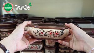 Pot Bonsai Keramik Segi Empat Persegi Panjang Kecil Mini Mame no Semen