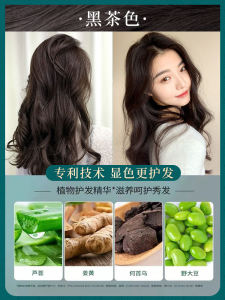 Home Dye Hair Color Blue Black Milk Tea Color Women Pure Bubble Dye Hair Plant Based Long Lasting Glossy Hair Color Treatment