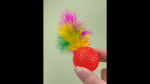 Đồ chơi bóng nhựa nảy gắn lông vũ cho Chó Mèo mẫu mới" - Love pets shop