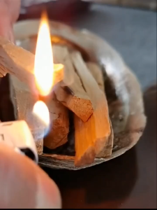 Gỗ Palo Santo - Gỗ Thơm Peru Gỗ Trắc Xanh PAG Dùng Xông Phòng Và Thanh Tẩy Không Gian Thanh Tẩy Tarot