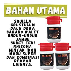 JAMU PERKUTUT MALAS BUNYI ISI 100 butir pil perkutut apbn nutrobird joss jpj raja gacor manggung bocor sam poo kong bio ginseng pakan perkutut