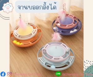 จานบอล รางบอล ของเล่นแมว