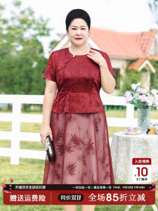 New Chinese Style Summer Dress for Mom Large Size Womens Fashionable Elegant Ladys Skirt Chiffon Material Mid-aged And Elderly Womens Clothing