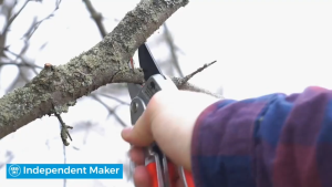 REMAX POWER RATCHET PRUNING SHEAR 81- GS784