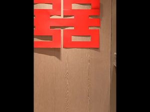 Nơ Lớn Màu Hồng/Đỏ Cho Cổng Cưới Tiệc Cưới Sinh Nhật Giáng Sinh Cửa Trang Trí Nhà Nhựa Trang Trí 1 PC