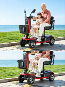 Phoenix | Elderly & Disabled Electric Scooter Dual Seating