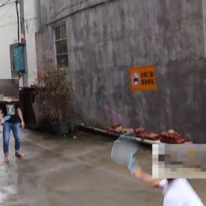 Bộ 2 vợt cầu lông trẻ em tặng kèm 2 quả cầu đồ chơi vận động phát triển tăng chiều cao rèn phản xạ tập trung cho bé