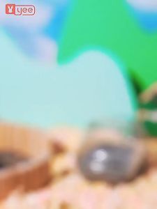 nhà tắm trong suốt gấu Boer (3 size) dành cho hamster - T3 PETS SHOP