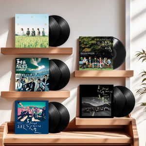 TM Record |Vinyl Records Mayday Album