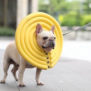 Westcoolpet ปลอกคอป้องกันสําหรับสัตว์เลี้ยงนุ่มพิเศษกันน้ํา EPE การฟื้นตัวจากการผ่าตัดสัตว์เลี้ยงป้องกันกรวยคอกลมสําหรับ Home Good Cat ป้องกัน