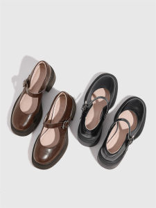 Wide Foot Accommodating Mary Jane Shoes for Women Spring 2025 Chunky Heel Buckle Strap High Heels Fashionable Retro Style round Toe