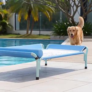hipidog | Elevated Moisture-proof Pet Cot with Headrest and Spine Support for All Seasons