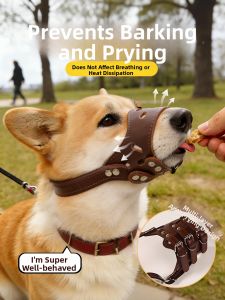 VOA | Anti Bite Barking and Eating Dog Mask