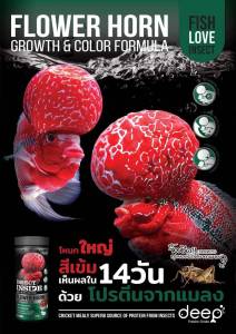 Deep Flower Horn - 10% ปริมาณ อาหารสูตรสำหรับหมอสี โหนกใหญ่ สีเข้ม โปรตีนคุณภาพจากจิ้งหรีด