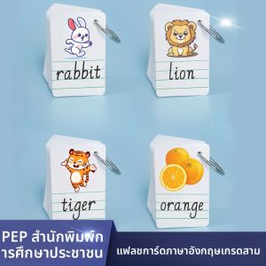 AOOCOO | Synchronized English Learning Flashcards for 3rd Grade Handwriting and Color Designs