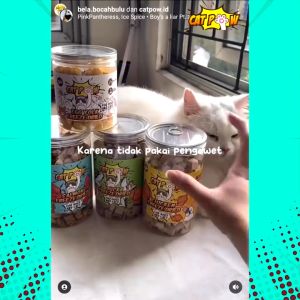 CATPOW Freeze Dried Pet Snack Egg Yolk Kuning Telur Kering Snack Kering Anjing Kucing 100 Gram