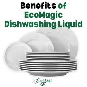 EcoMagic Dishwashing Liquid Citrus (5 Litres)