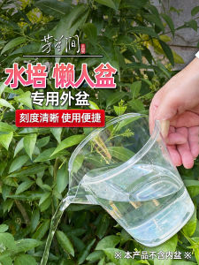 Bilateral Butterfly Orchid Hydroponic Transparent Resin Planting Basket Lazy Person Outer Basin Succulent Tulip Hyacinth Pot