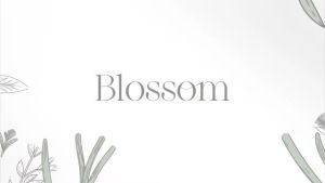 Kitchenaid Stand Mixer 5KSM195 Series