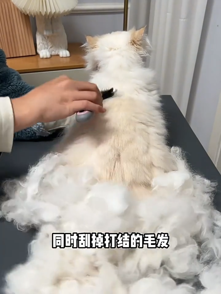 Double-sided pet comb with blue and pink handles can quickly open knots and massage the skin for painless hair removal. Pet grooming comb is suitable for Shih Tzu Golden Retriever Persian cats and Siamese cats