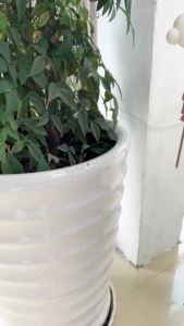 Cloud-Shaped Self-Watering Stake Potted Plant Watering Device Gardening Decor with Stick Creative Home Garden Accessory