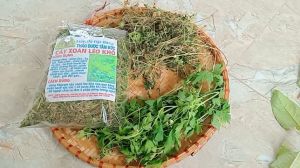 1kg cây xoan leo sấy khô