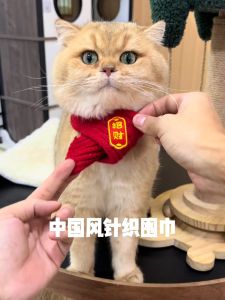 Cat Scarf Pet Accessories Decorative New Years Costume Small Cat Hat Collar Pet Clothes Autumn Winter Universal for Kittens