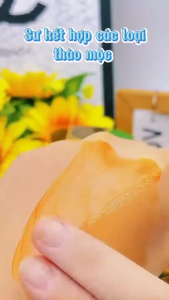 Cao xoa bóp giảm đau xương khớp Kim Xà Aminochondroitin Sulfate giảm đau cơ cổ vai gáy hũ 50g