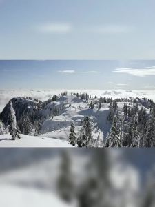 OXO Mountain Guest Portable Stainless Steel Mesh Table Lightweight and Easy to Carry Camping Foldable Barbecue Picnic Multifunctional