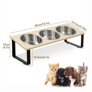 15° Tilted Elevated Cat Bowls Feeder Raised Feeding & Watering Supplies Pet 3 Stainless Steel Bowls with Stand for Cats Puppies
