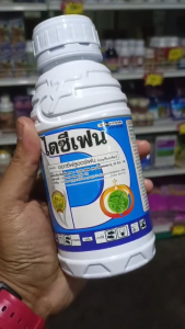 ออกซีฟลูออร์เฟน ไดซีเฟน สารกำจัดวัชพืช คุมหญ้าในหอม กระเทียม พริก คุมหญ้าชนิดใบกว้างและใบแคบ คุมหญ้าได้ดีมาก มีขนาด 500 CC และ 1000 CC