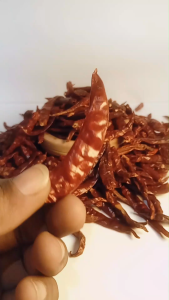 Cabe Rawit Kering Teja Tanpa Tangkai Kemasan 1kg 500 gram dan 250 gram