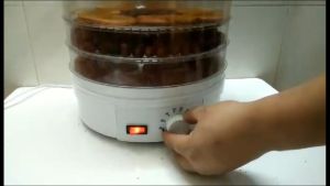 Food Dehydrator 220V 5 Layers Automatic Electric Food Dryer Household Dried Fruit Machine Fruit Vegetable Meat Food Dehydrator